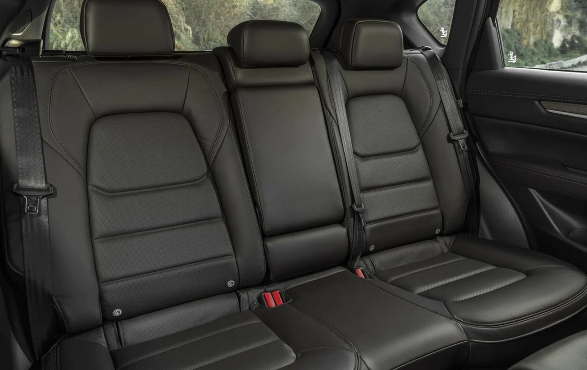 interior0